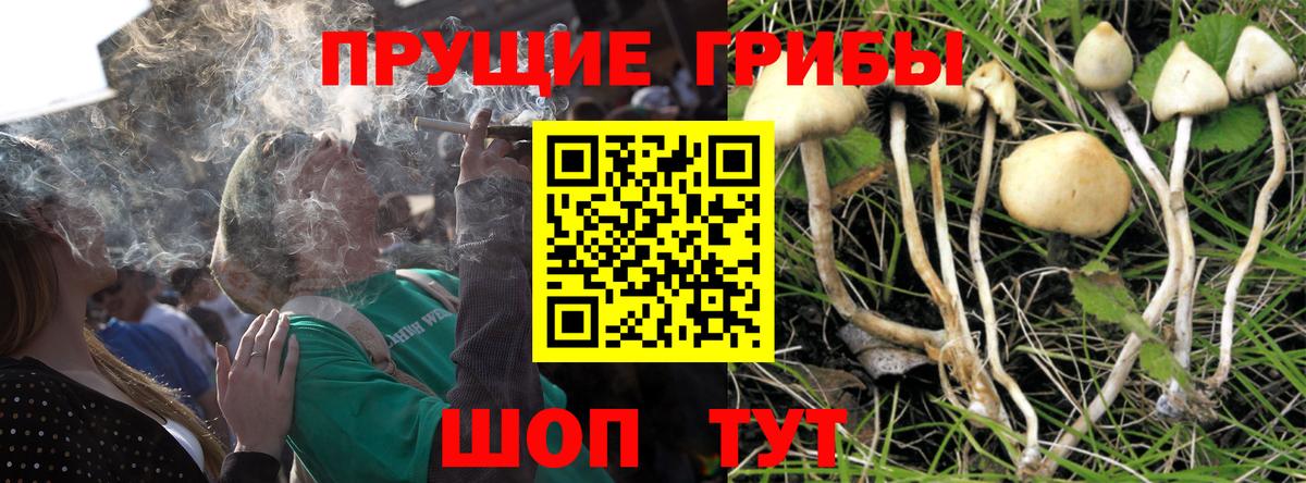 Псилоцибиновые грибы GOLDEN TEACHER Белебей